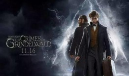 12月神奇动物爆料视频,神秘生物齐聚，奇幻世界再掀波澜